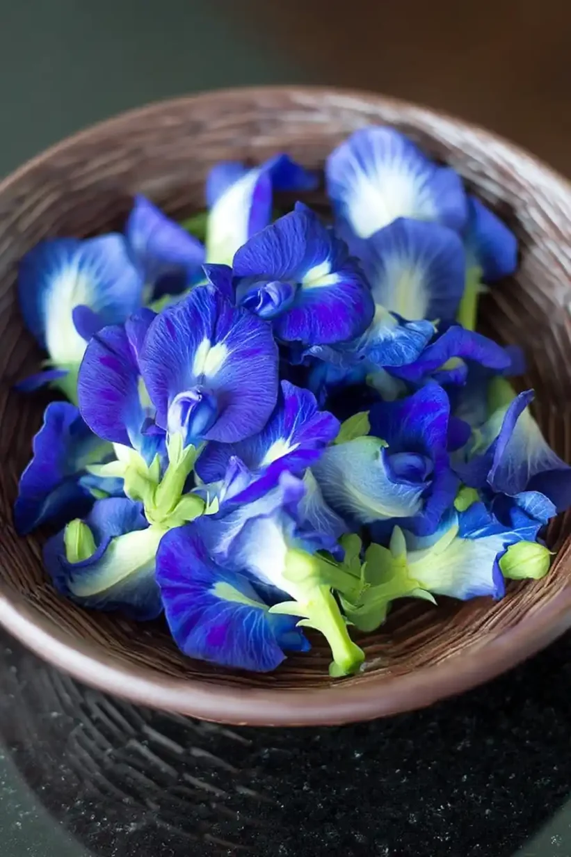 butterfly pea flowers.